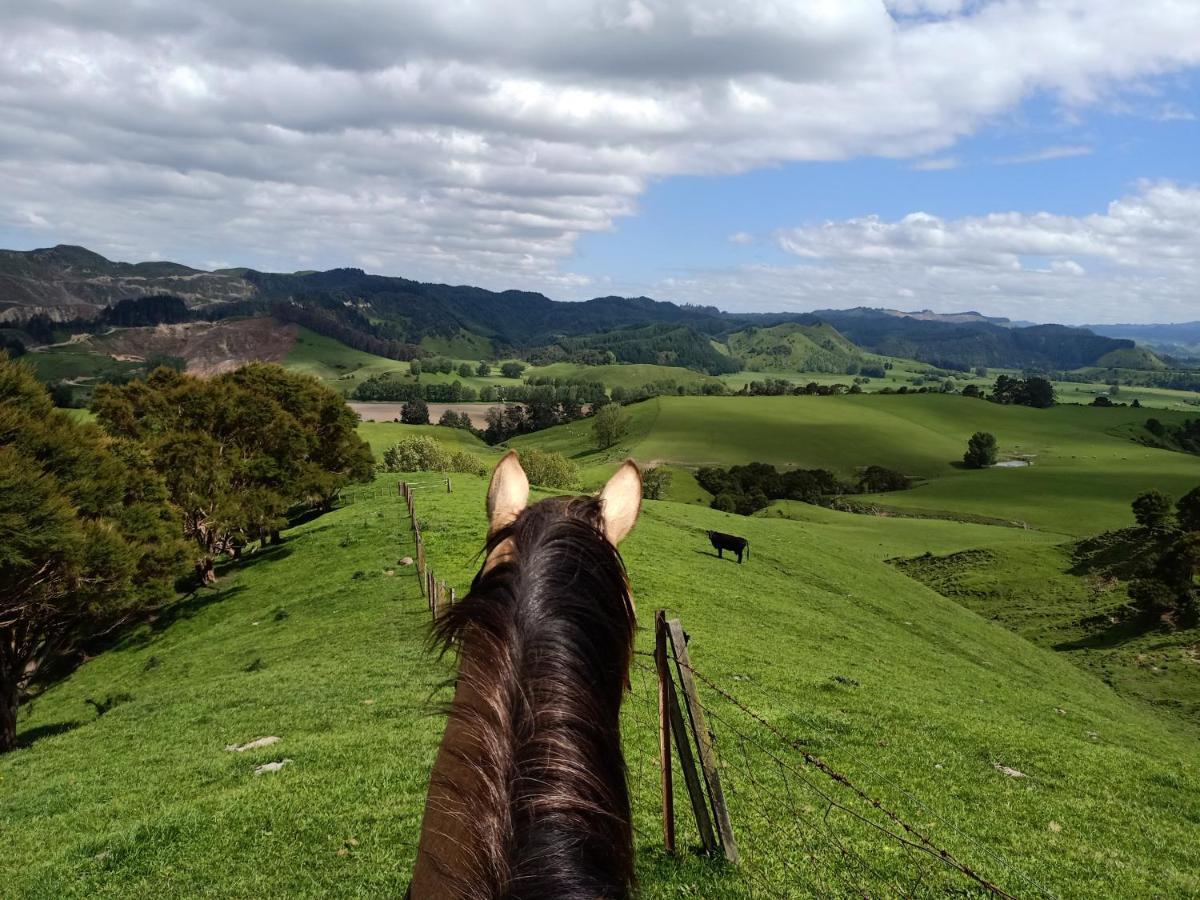 Renagour Cottage - Farmstay With Hot Tub! Whanganui Esterno foto